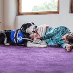 Foto: Asistenční pes pomáhající při záchvatovém onemocnění